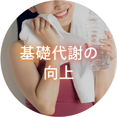 基礎代謝の向上