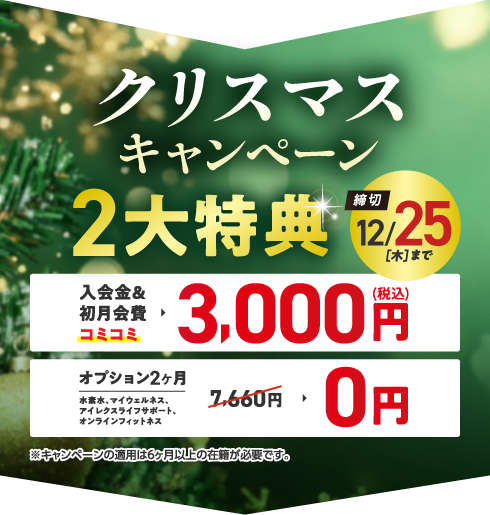 クリスマスキャンペーン