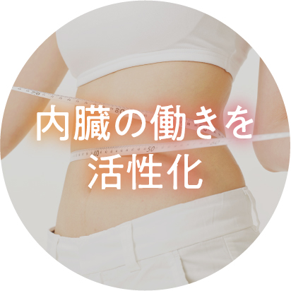 内臓の働きを活性化
