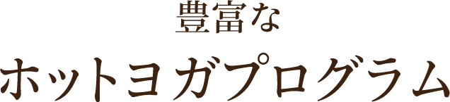 豊富なホットヨガプログラム